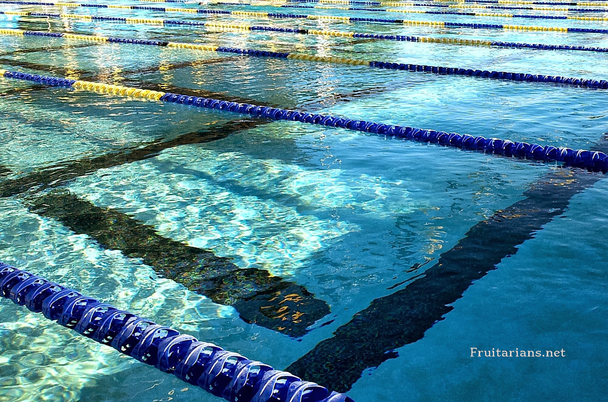 Open Swimming Pool